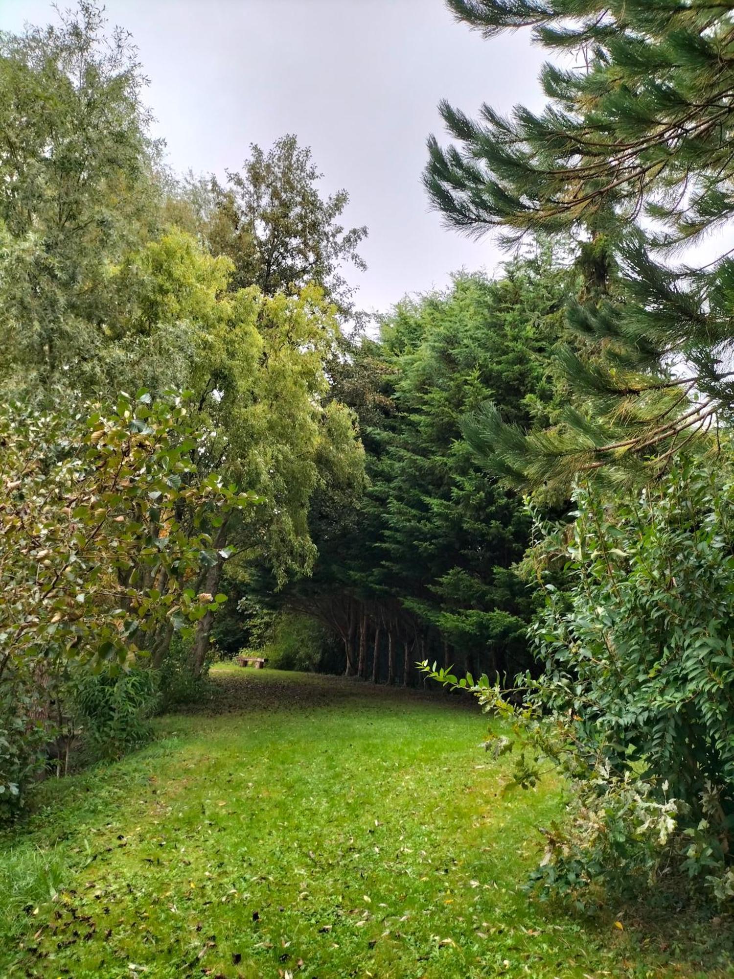 Bed and Breakfast La Mouillere Verton Esterno foto