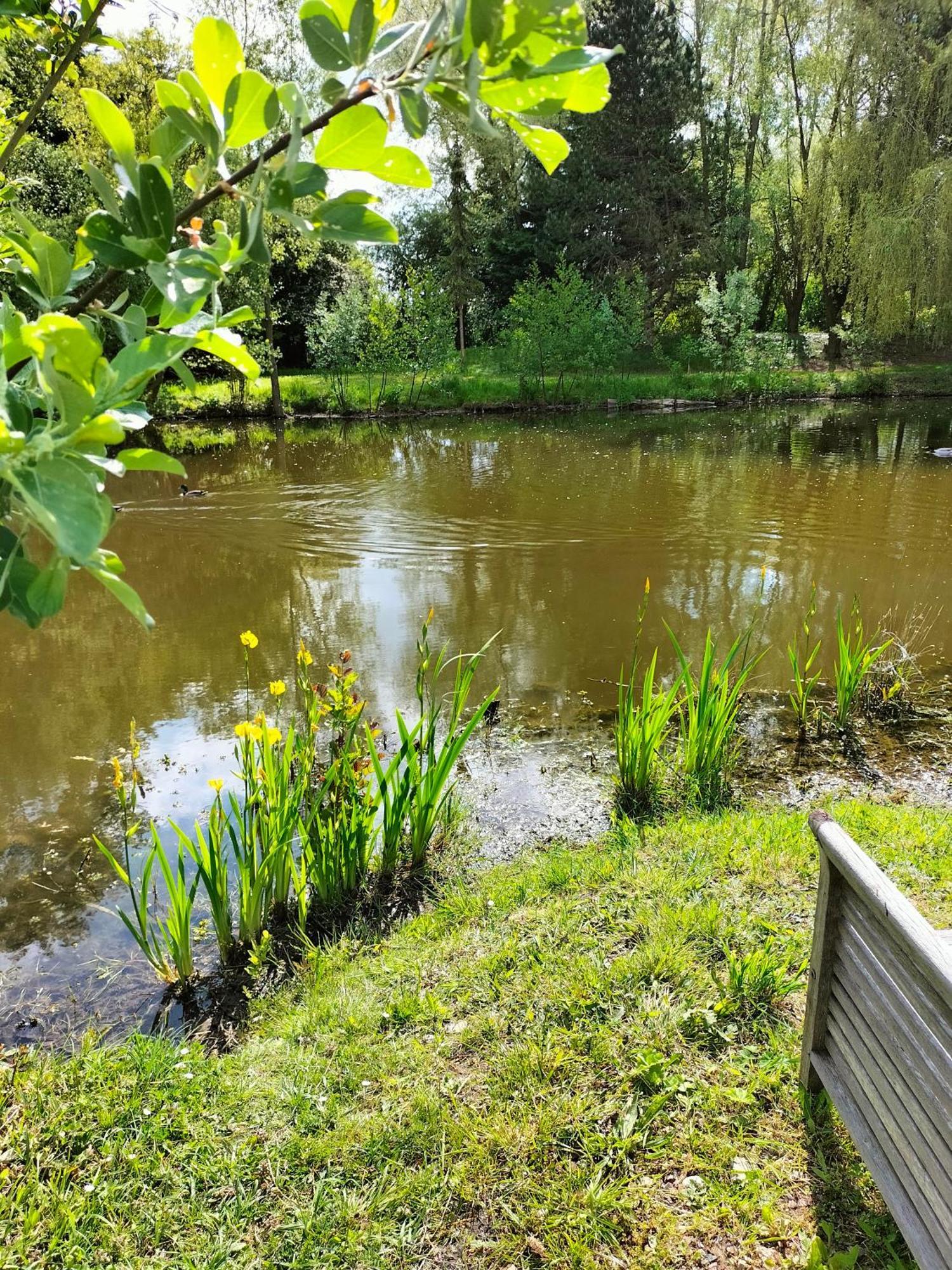 Bed and Breakfast La Mouillere Verton Esterno foto