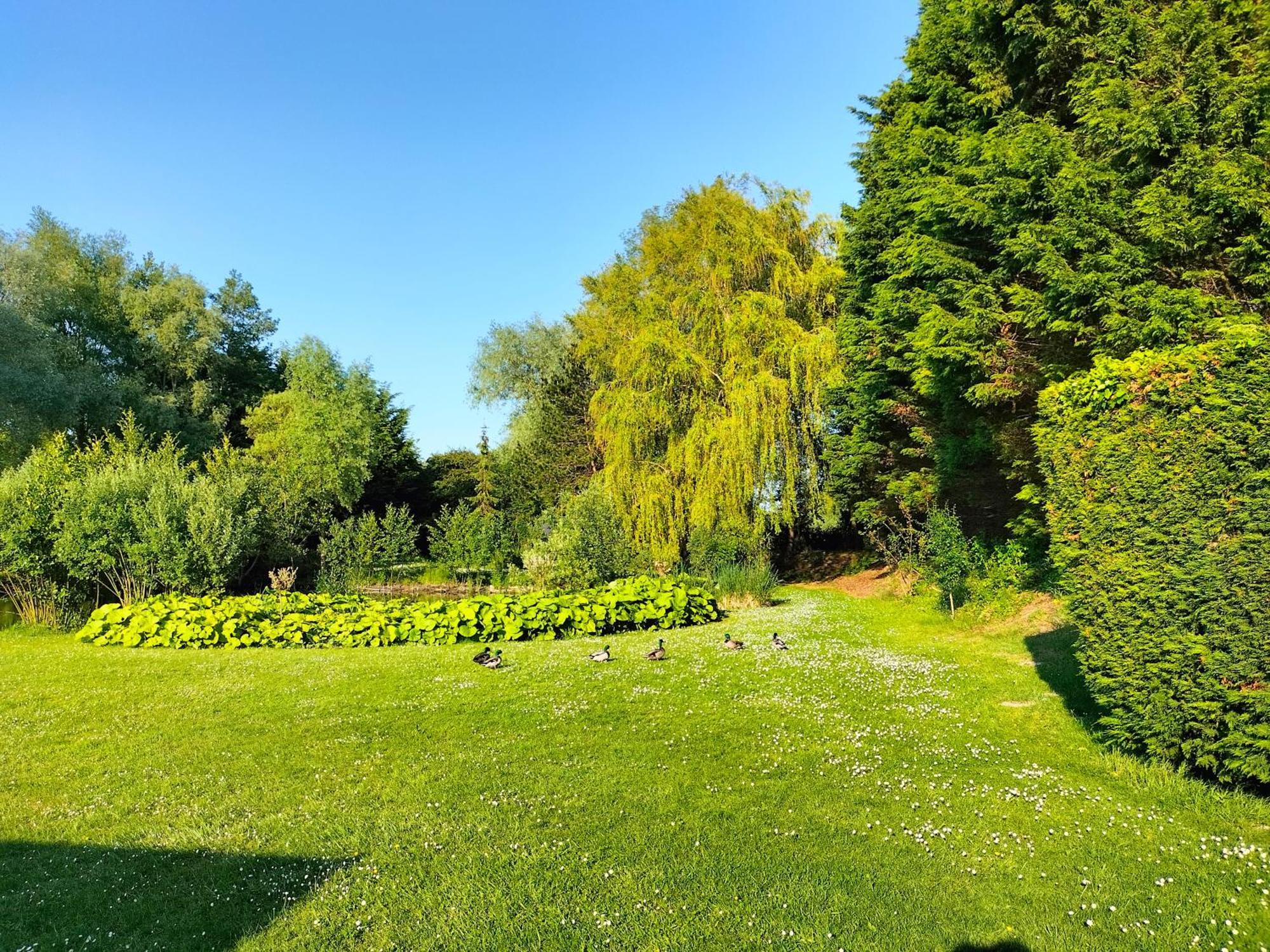 Bed and Breakfast La Mouillere Verton Esterno foto
